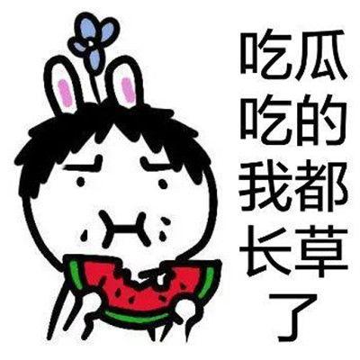 吃瓜聊天表情包图片,吃瓜聊天表情包背后的趣味人生