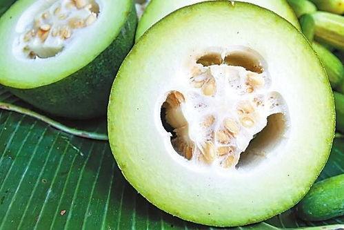 吃瓜oc,网络红人的崛起与影响力