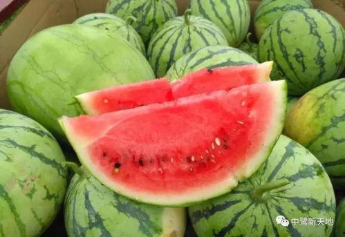 吃瓜才是,揭秘娱乐圈背后的真相与八卦