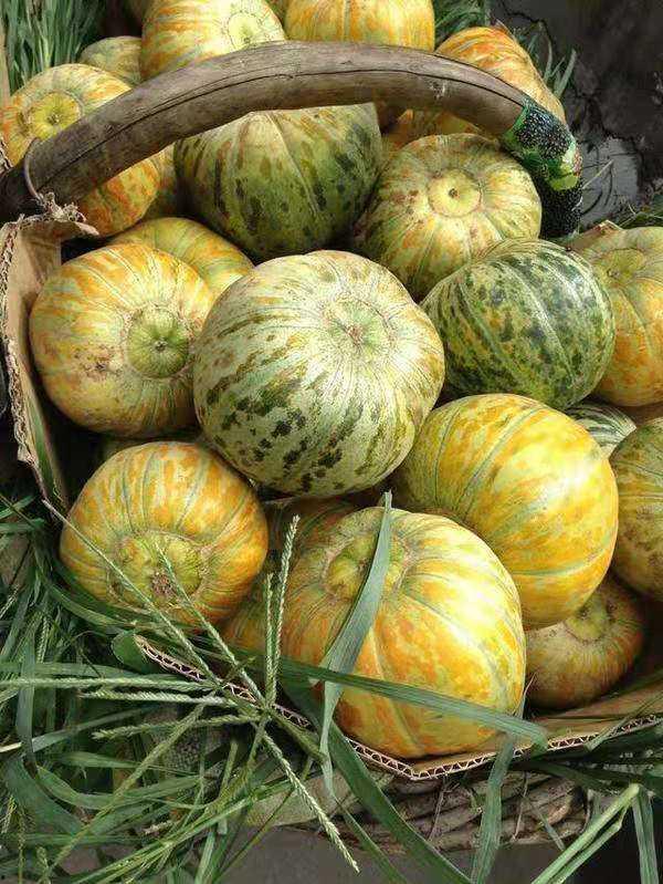 大兄弟吃瓜,揭秘娱乐圈幕后故事