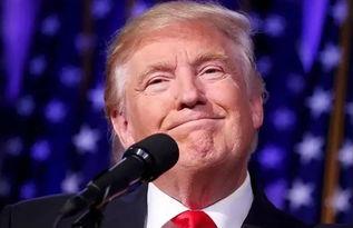 周琛吃瓜,揭秘娱乐圈幕后真相