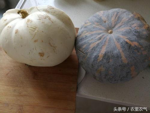 老家院子里吃瓜,瓜香四溢的欢乐时光