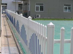 吃瓜围栏教室,揭秘校园里的“瓜田”趣事