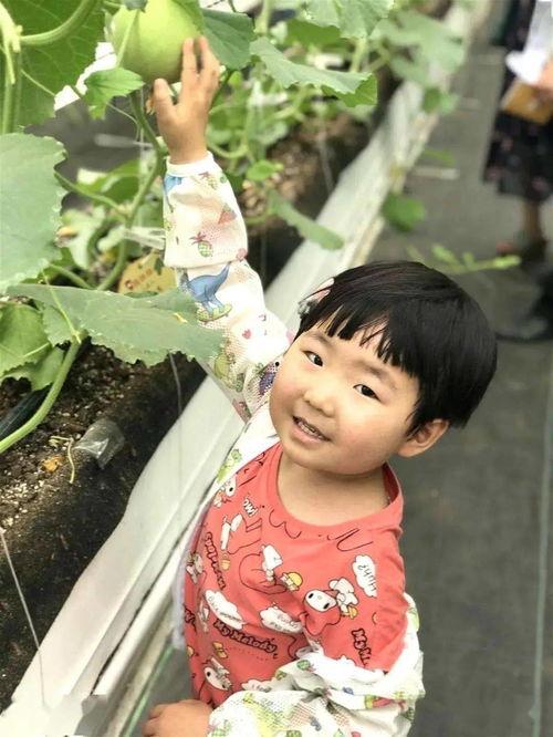 吃瓜小甜心,揭秘娱乐圈甜蜜背后的秘密