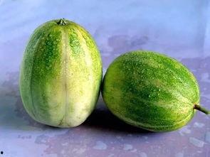 甜瓜吃美食瓜,探寻甜瓜与美食瓜的独特风味之旅