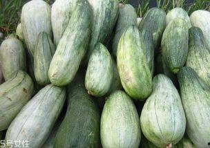 酥瓜咋吃,酥瓜的多重美味吃法探索