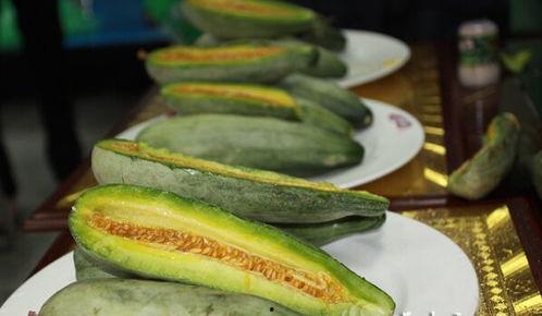 酥瓜咋吃,酥瓜的多重美味吃法探索