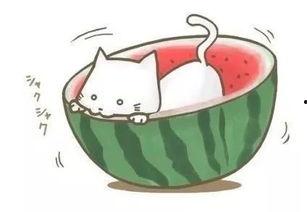 吃瓜遇见全集,一场跨越时空的奇幻冒险之旅