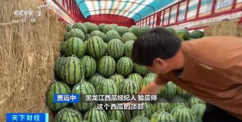 贾梅吃瓜,揭秘娱乐圈背后的那些事儿