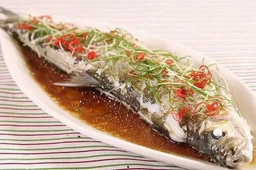 大帆鱼吃茄瓜,海洋奇遇记