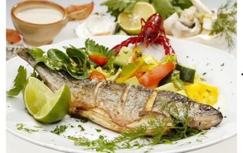 大帆鱼吃茄瓜,海洋奇遇记