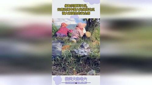 云南大妈边境吃瓜视频,揭秘边境风情美食之旅