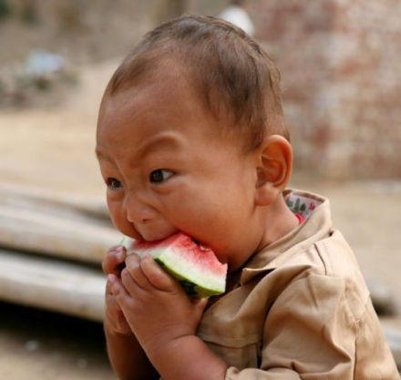 吃瓜小胖墩,揭秘娱乐圈的甜蜜“胖”秘密