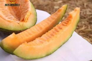 福西吃瓜,揭秘娱乐圈幕后真相